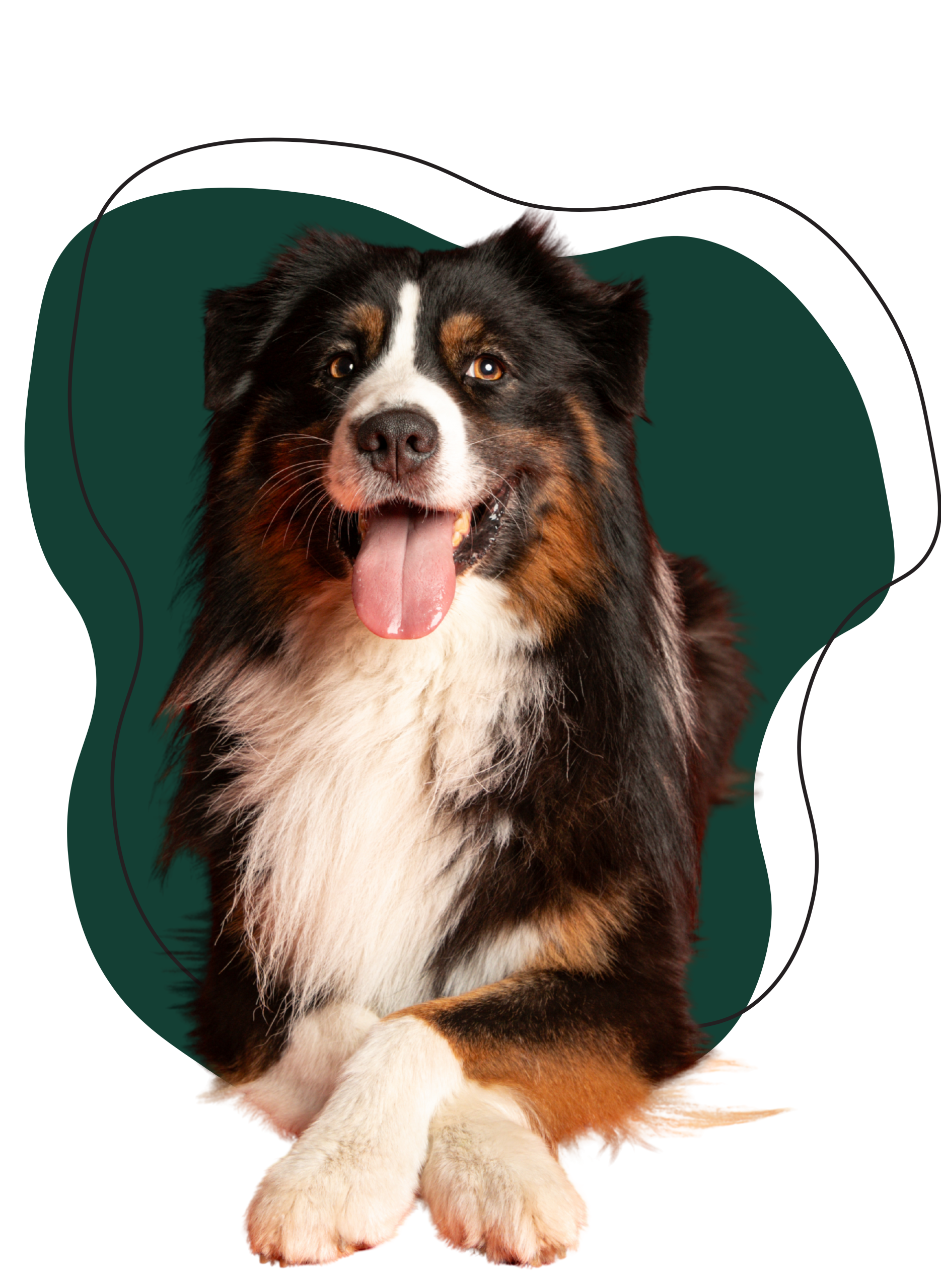 Chien heureux dans bulle verte