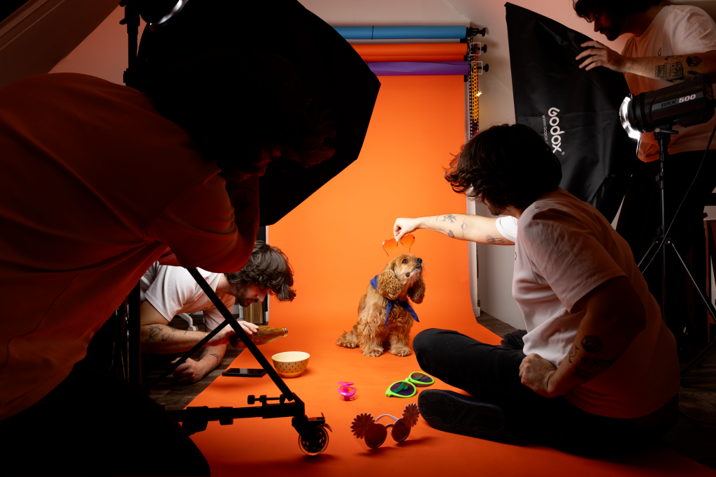 studio photo pour chiens